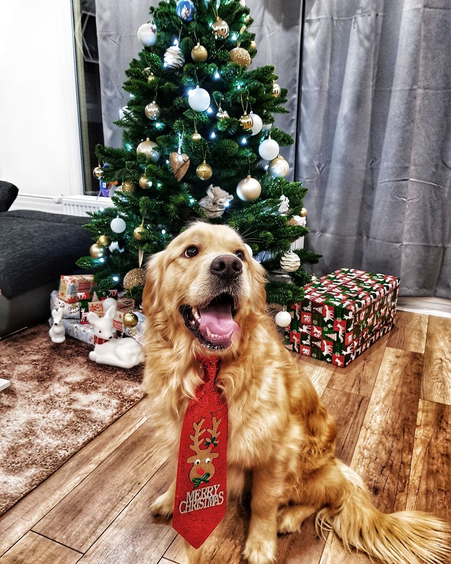 Let´s Spread Happy And Positive Mood By Our Photos With Our Golden Max