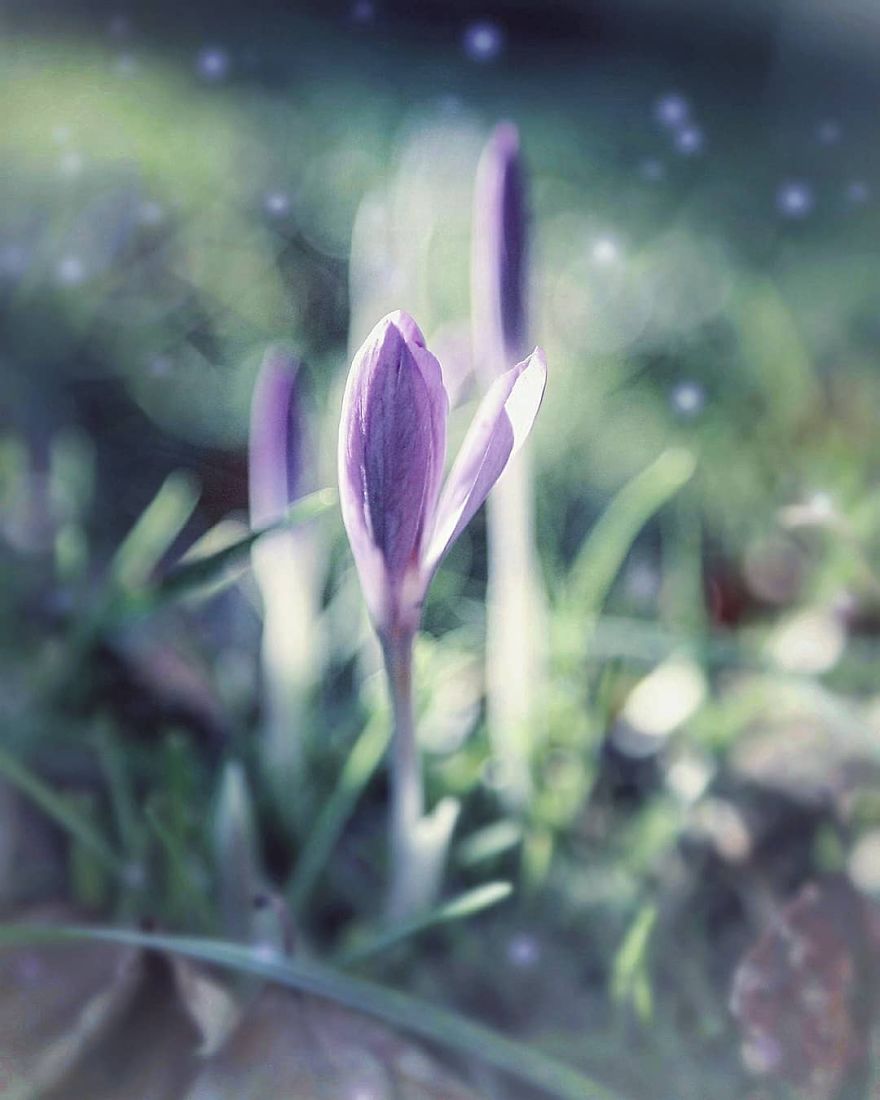 Hi I'm Grace And I Paint With My Camera