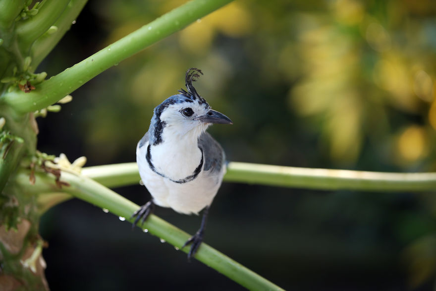 Why I'm Taking My 8 Year Old Daughter With Autism To The Forests Of The World