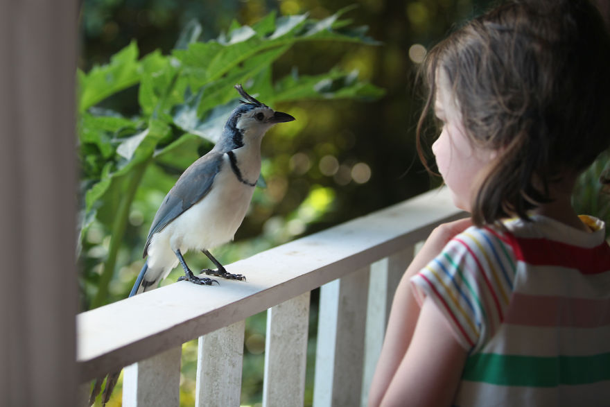 Why I'm Taking My 8 Year Old Daughter With Autism To The Forests Of The World