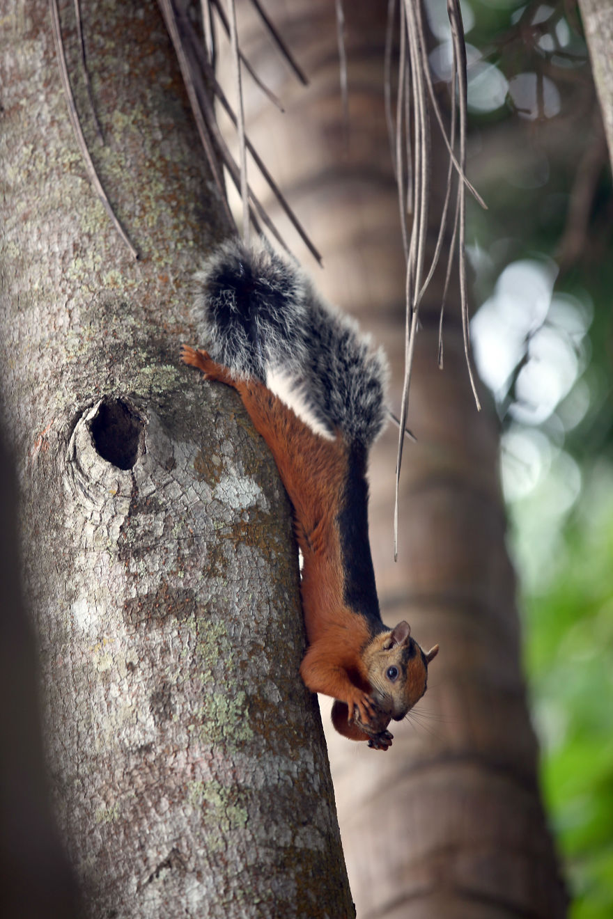 Why I'm Taking My 8 Year Old Daughter With Autism To The Forests Of The World