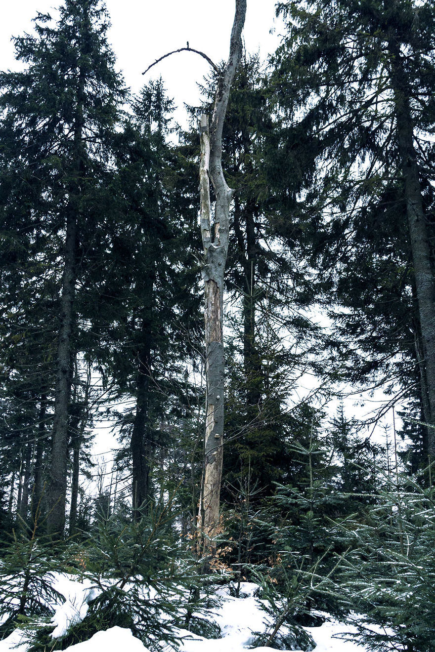 We Went To The Polish Mountains And Went Back In Time By About 1000 Years