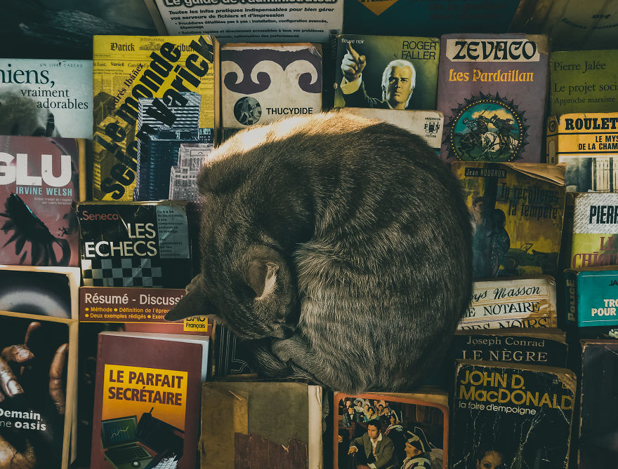 I Have Been Taking Pictures With My Iphone 5s, And Here Are Some Of My Photographs !