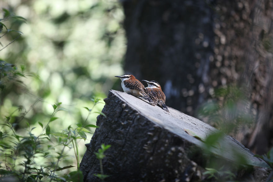 Why I'm Taking My 8 Year Old Daughter With Autism To The Forests Of The World