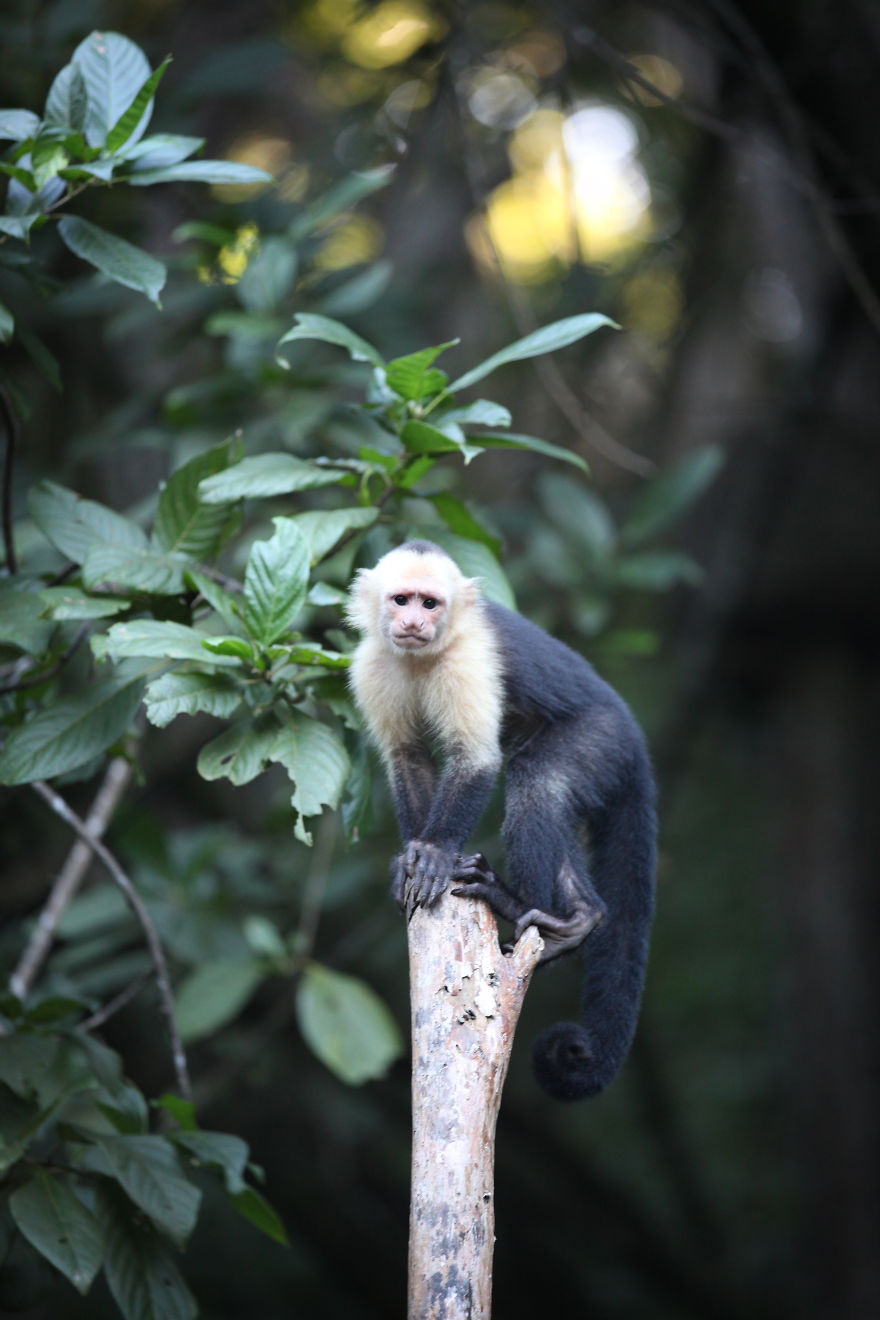 Why I'm Taking My 8 Year Old Daughter With Autism To The Forests Of The World