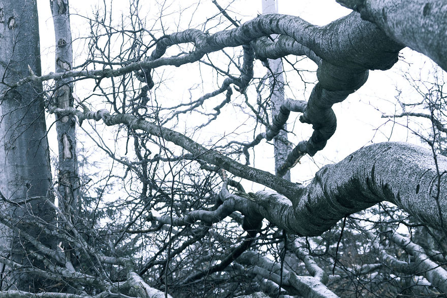 We Went To The Polish Mountains And Went Back In Time By About 1000 Years We Went To The Polish Mountains And Went Back In Time By About 1000 Years