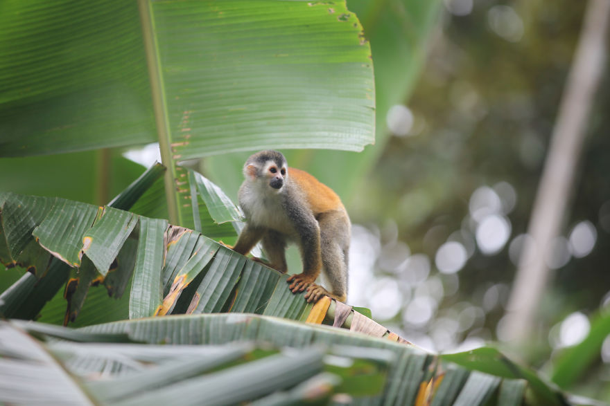 Why I'm Taking My 8 Year Old Daughter With Autism To The Forests Of The World