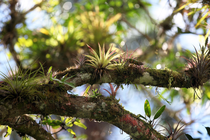Why I'm Taking My 8 Year Old Daughter With Autism To The Forests Of The World