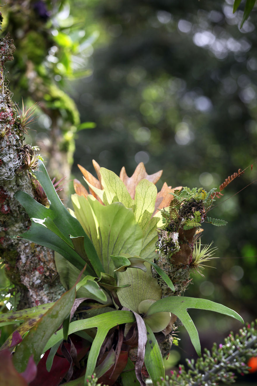 Why I'm Taking My 8 Year Old Daughter With Autism To The Forests Of The World