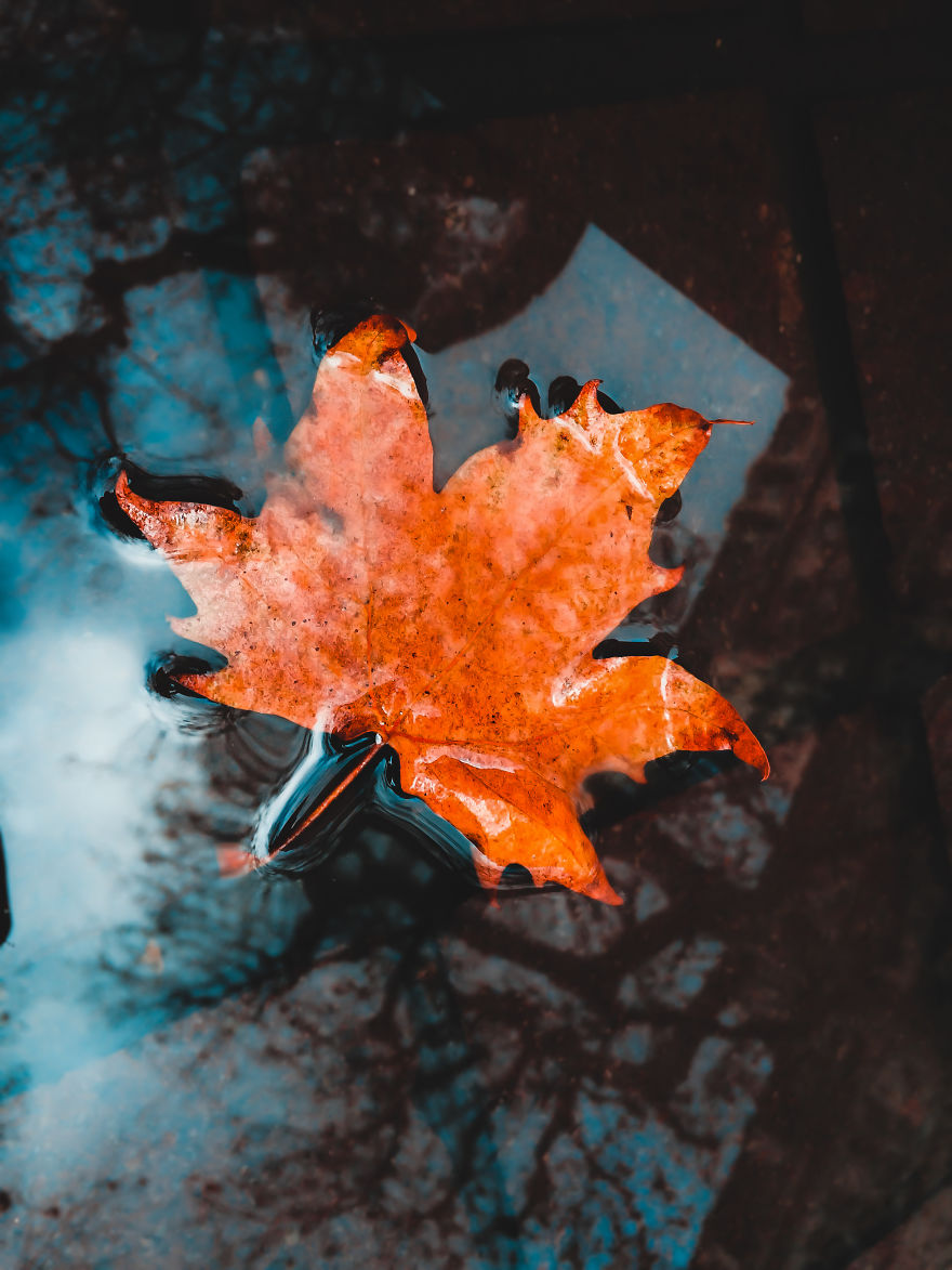 I Have Been Taking Pictures With My Iphone 5s, And Here Are Some Of My Photographs !