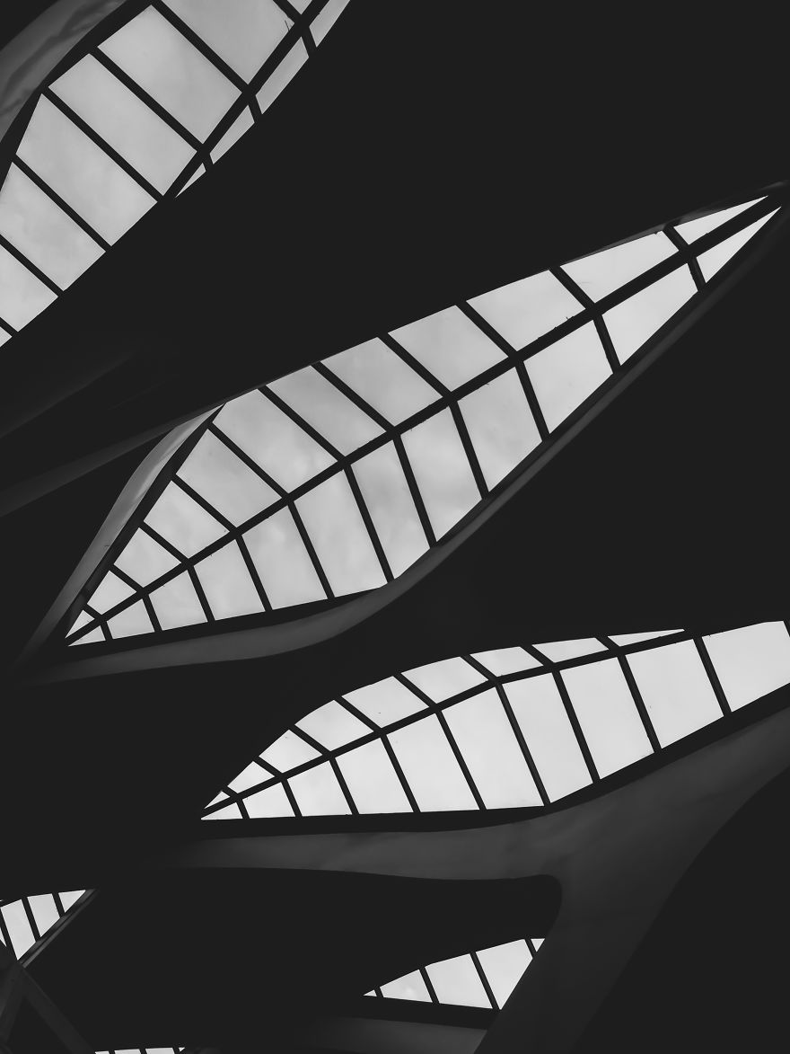 I Have Been Taking Pictures With My Iphone 5s, And Here Are Some Of My Photographs !