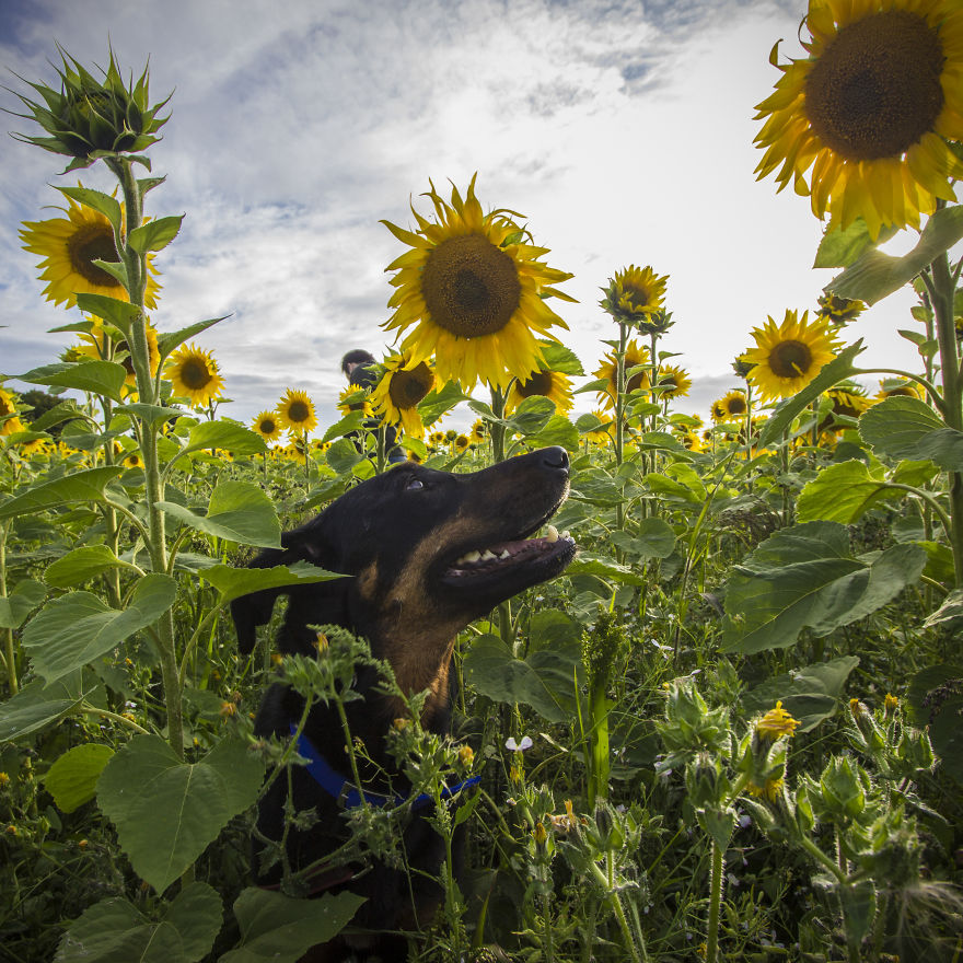 We Moved To Live In The Worst Place In England, And Here's What It's Like