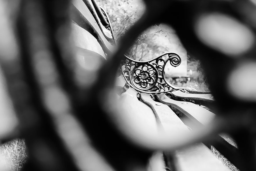 I Took A Long Walk In My Hometown And The Results Are Pretty Amazing!