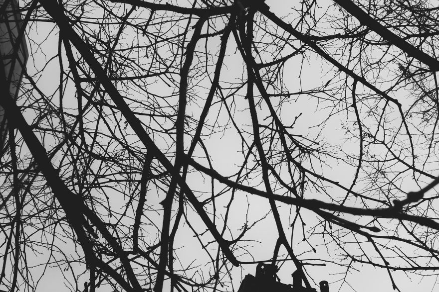 I Took A Long Walk In My Hometown And The Results Are Pretty Amazing!