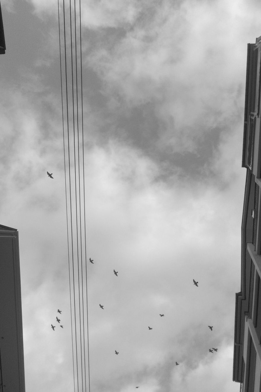 I Took A Long Walk In My Hometown And The Results Are Pretty Amazing!