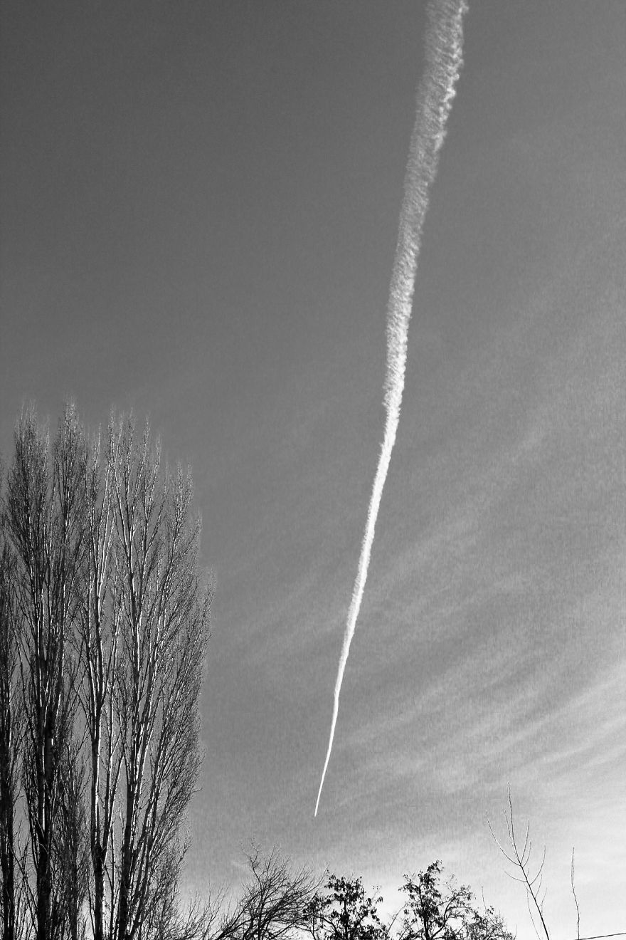 I Took A Long Walk In My Hometown And The Results Are Pretty Amazing!