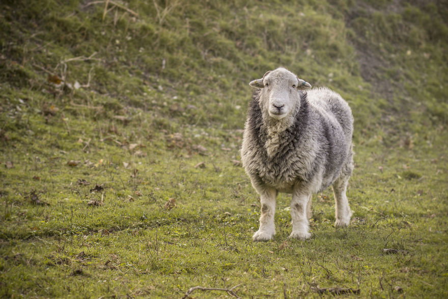 We Moved To Live In The Worst Place In England, And Here's What It's Like