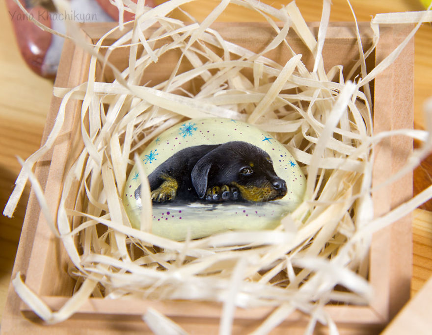 I Painted Cute Dogs On Sea Stones To Celebrate The Year Of The Dog