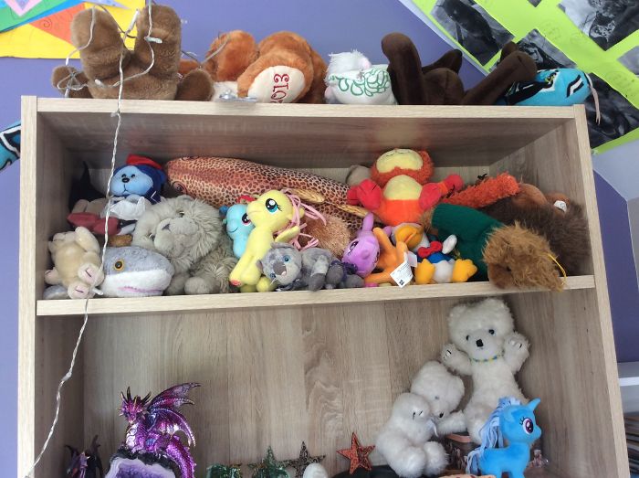 I Collect Soft Toys. I Have Over 200, These Are Just A Few Of My Favourites :)