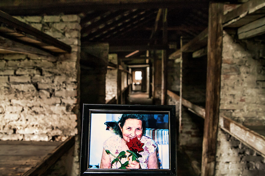 I Placed Photographs Of My Family Throughout Auschwitz, To Document The Life Of 4 Generations Since My Grandmother Survived The Camp I Placed Photographs Of My Family Throughout Auschwitz, To Document The Life Of 4 Generations Since My Grandmother Survived The Camp