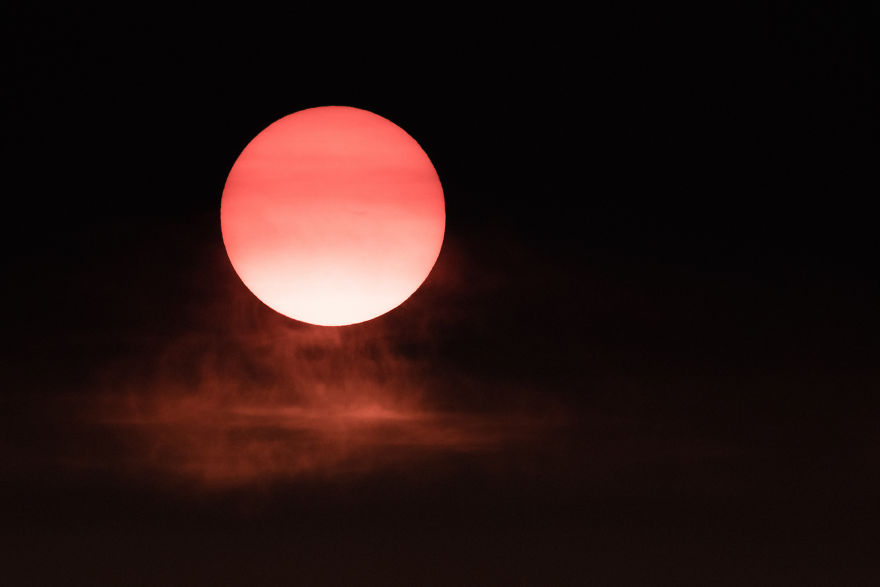 Bombinate - An Olympus Experience Bombinate - An Olympus Experience