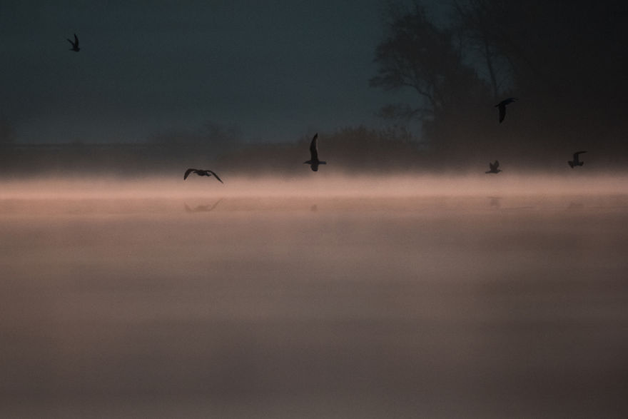 Bombinate - An Olympus Experience