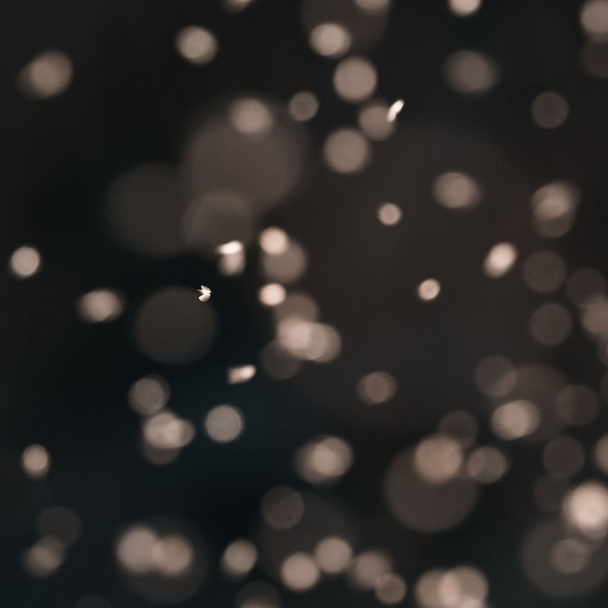 Bombinate - An Olympus Experience