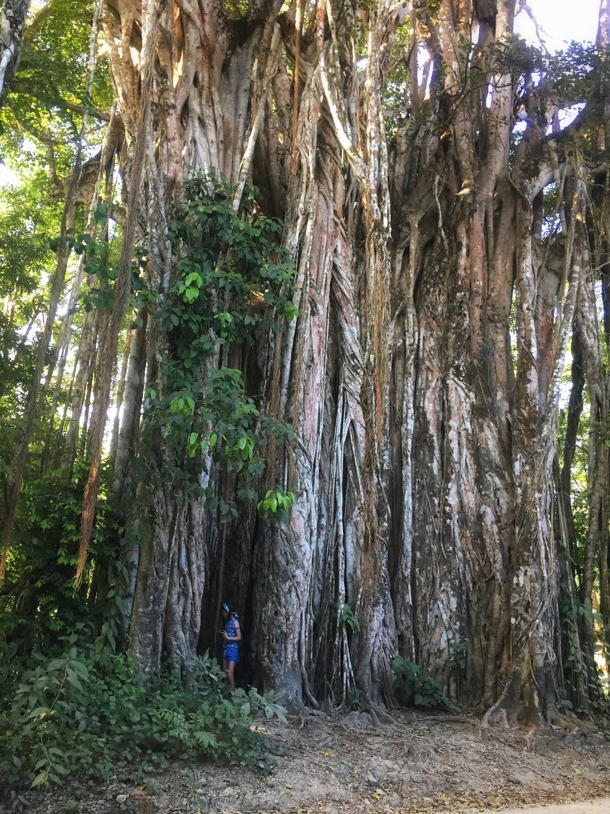 Why I'm Taking My 8 Year Old Daughter With Autism To The Forests Of The World Why I'm Taking My 8 Year Old Daughter With Autism To The Forests Of The World