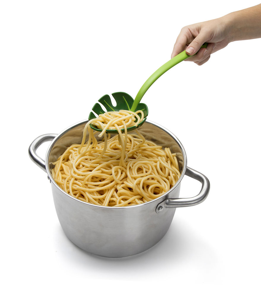 A New Kitchen Adventure Straight From The Jungle! A New Kitchen Adventure Straight From The Jungle!