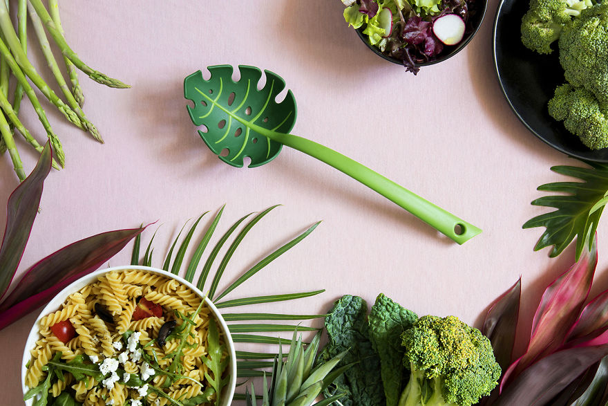 A New Kitchen Adventure Straight From The Jungle! A New Kitchen Adventure Straight From The Jungle!