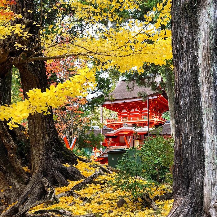 10+ The Most Surreal Places You Should Visit In Japan In 2018