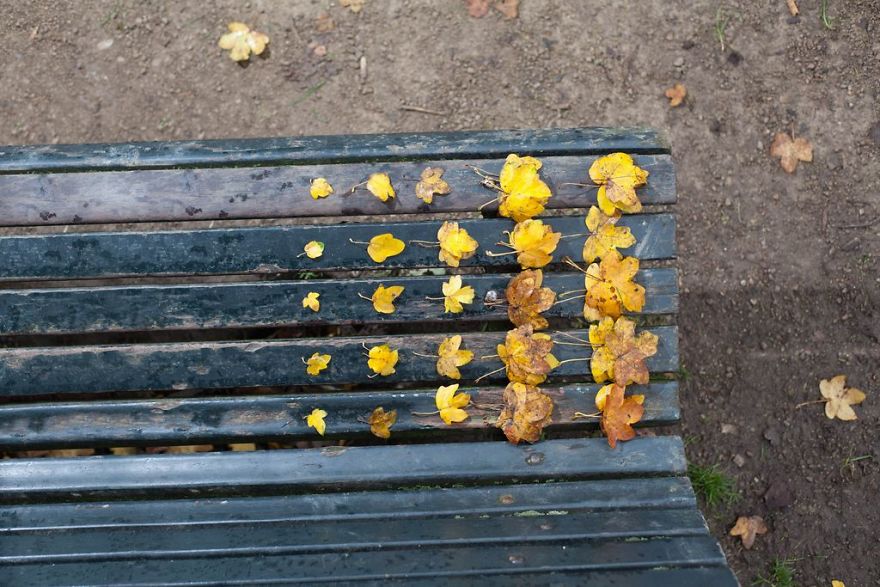 What Happens When You Lock Yourself In Your Apartment For 2 Weeks And Organize Everything You Own What Happens When You Lock Yourself In Your Apartment For 2 Weeks And Organize Everything You Own