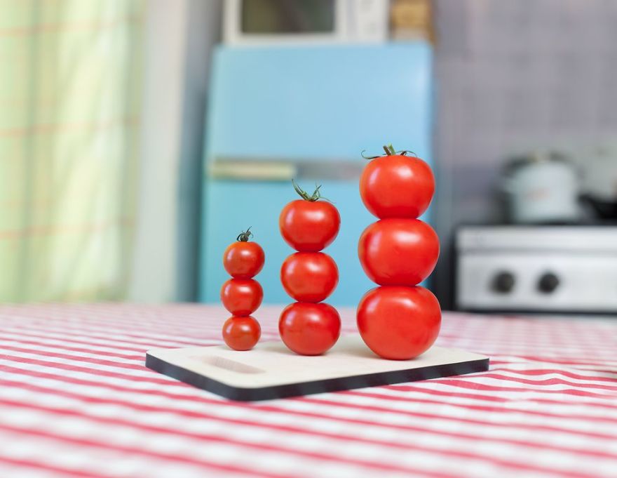 What Happens When You Lock Yourself In Your Apartment For 2 Weeks And Organize Everything You Own What Happens When You Lock Yourself In Your Apartment For 2 Weeks And Organize Everything You Own