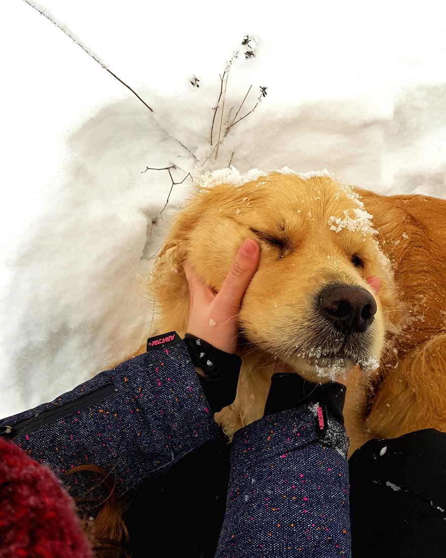 Let´s Spread Happy And Positive Mood By Our Photos With Our Golden Max