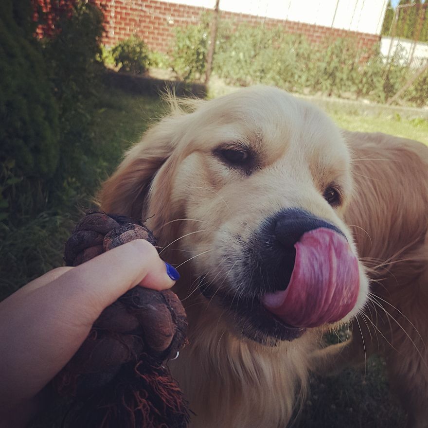 Let´s Spread Happy And Positive Mood By Our Photos With Our Golden Max