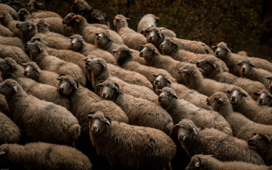 We Spent 1 More Year Exploring The Country Of Georgia