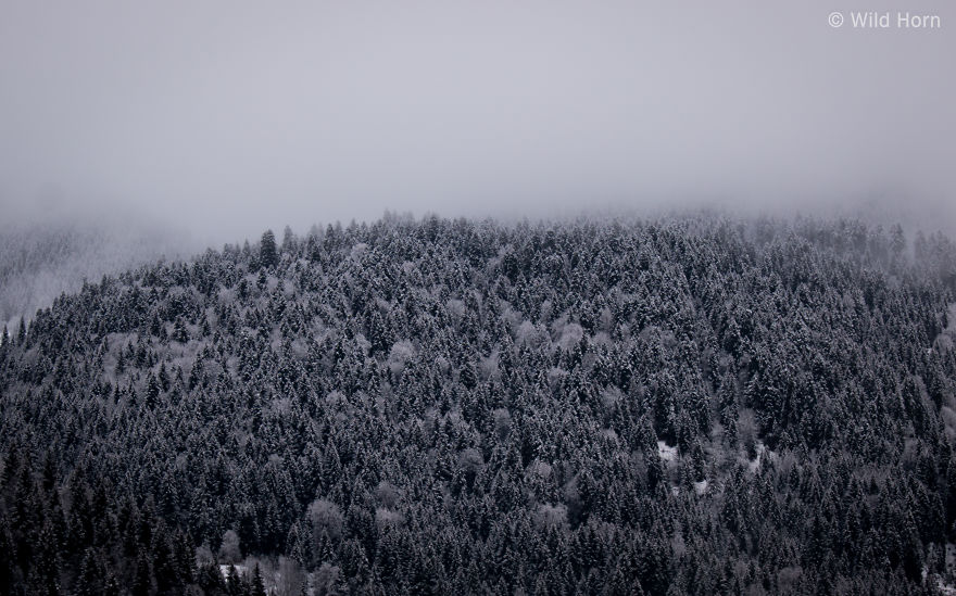 We Spent 1 More Year Exploring The Country Of Georgia