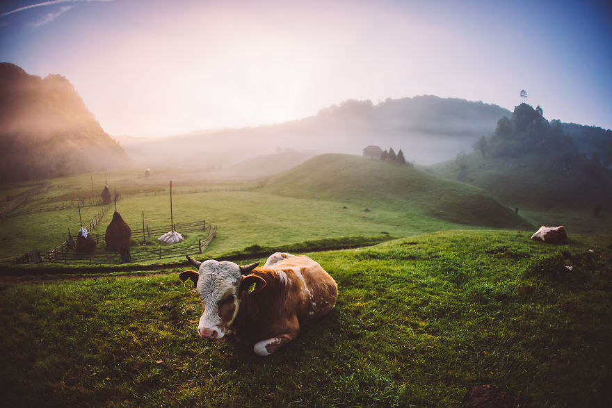 The Hand Of God-Magical Place In Romania The Hand Of God-Magical Place In Romania