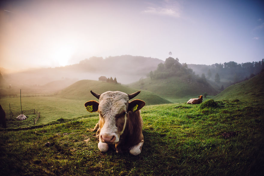 The Hand Of God-Magical Place In Romania