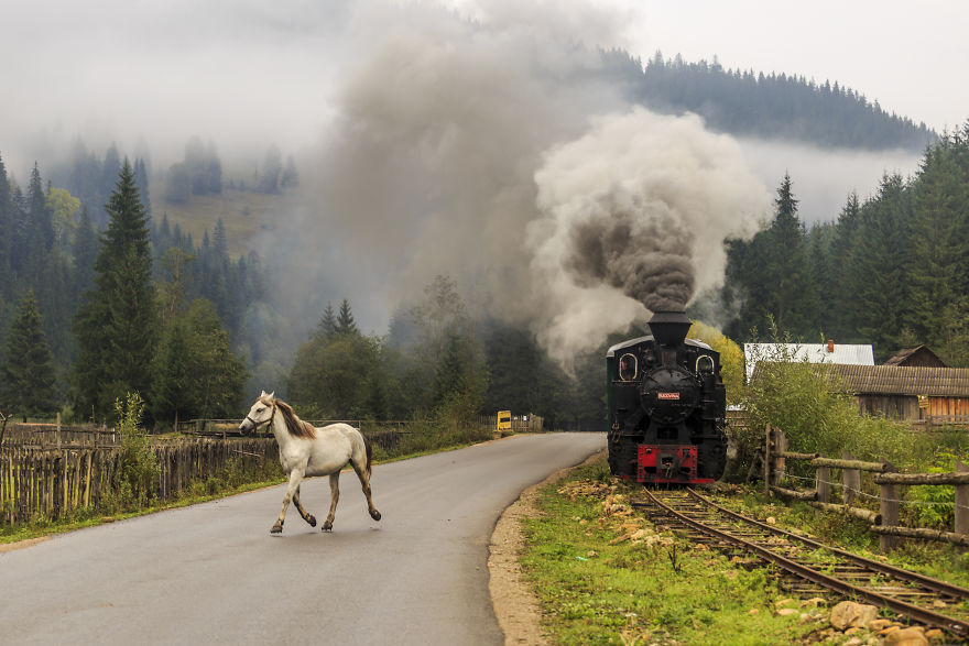 I Photographed Mocanita Hutulca