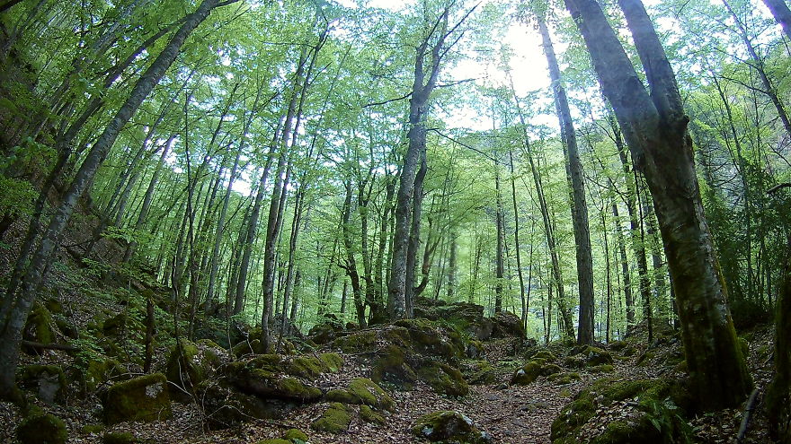 Mountain Olympus, Mountain Of The Gods