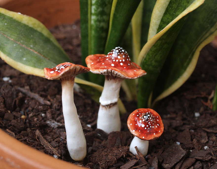 I Create Fantasy Illustration And Sculpture Inspired By Nature