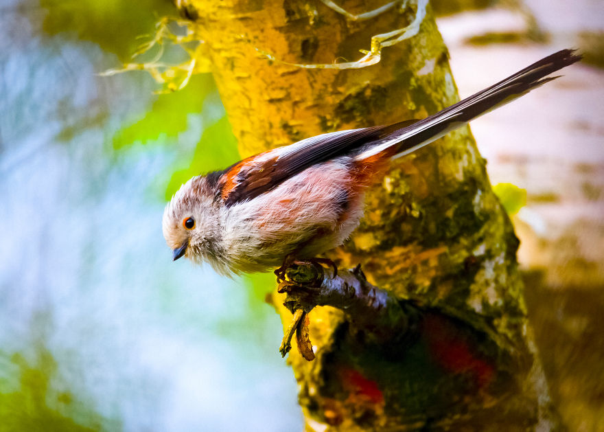 My Favourite Photos From A Small City Of Swidwin In Poland Which I Took In Last 2 Years