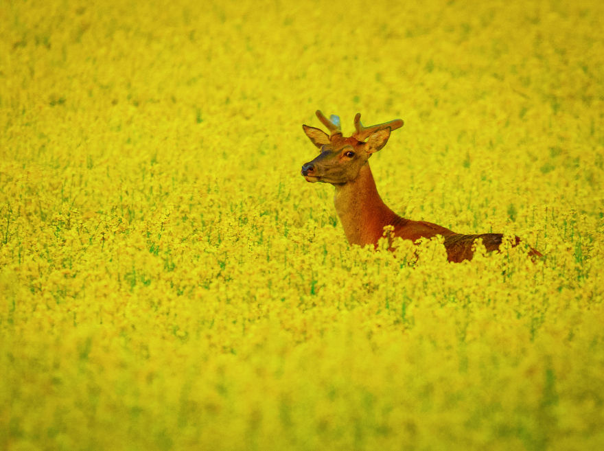 My Favourite Photos From A Small City Of Swidwin In Poland Which I Took In Last 2 Years