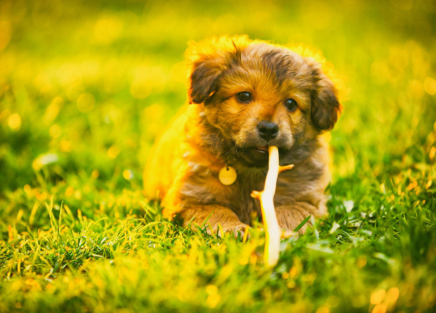 My Favourite Photos From A Small City Of Swidwin In Poland Which I Took In Last 2 Years