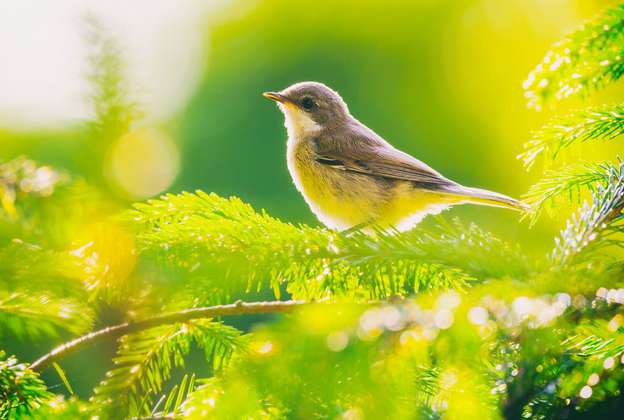 My Favourite Photos From A Small City Of Swidwin In Poland Which I Took In Last 2 Years My Favourite Photos From A Small City Of Swidwin In Poland Which I Took In Last 2 Years