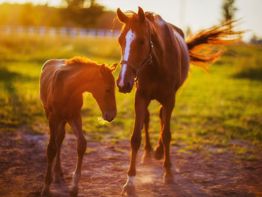 My Favourite Photos From A Small City Of Swidwin In Poland Which I Took In Last 2 Years