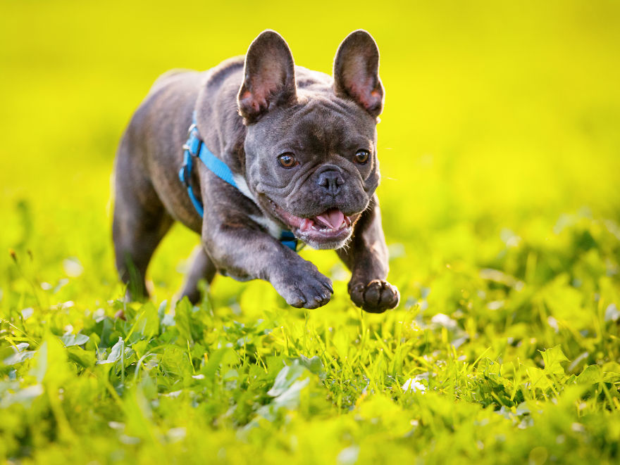 My Favourite Photos From A Small City Of Swidwin In Poland Which I Took In Last 2 Years