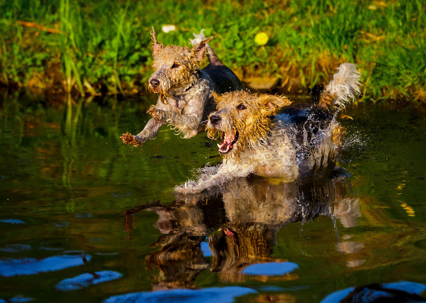 My Favourite Photos From A Small City Of Swidwin In Poland Which I Took In Last 2 Years