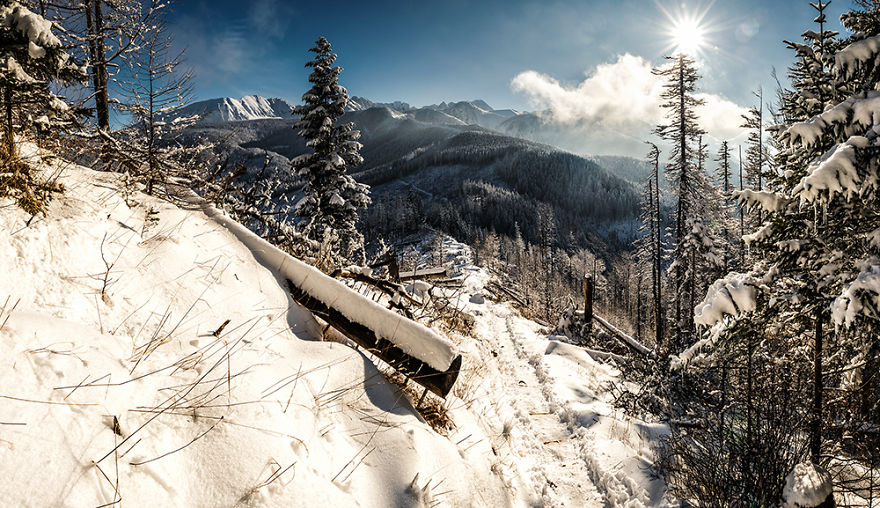 Once I Got Lost In The Tatras During Winter And Totally Fell In Love With This Wonderland Once I Got Lost In The Tatras During Winter And Totally Fell In Love With This Wonderland